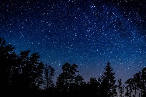 Image of Sequoia and Kings Canyon National Park